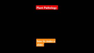 Plant Pathology How To Make a Slide amp After slide preparation the result [upl. by Posner631]