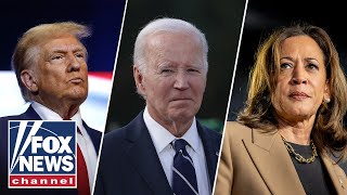 Dem who ran against Biden This is the day the election was lost [upl. by Smukler]