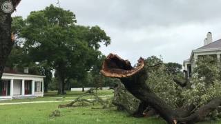 Tornado damage at Beauvoir in Biloxi [upl. by Mharba]