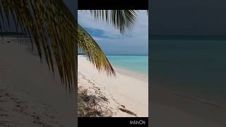 PRISTINE BANGARAM ISLAND RESORT  LAKSHADWEEP lakshadweep bangaramisland pristine [upl. by Shum]