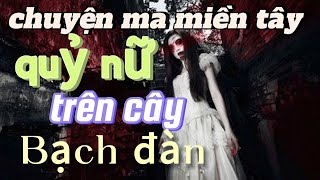 tập 148 quỷ nữ trên cây bạch đànchuyenmacothat [upl. by Ytisahcal]