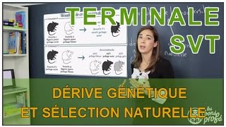 Dérive génétique et sélection naturelle  SVT  Terminale  Les Bons Profs [upl. by Daggett472]