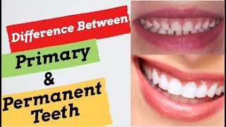 🔥🔥Differences Between Primary and Permanent Teeth🔥🔥 [upl. by Detta]