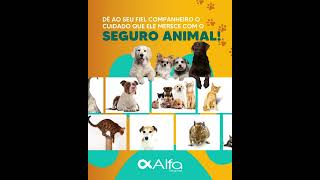 SEGURO ANIMAL DESDE 299 EUR  🐶 animal gato cão seguroanimal animaldeestimação portugal [upl. by Cornelius536]