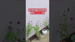 दो लोगो से हमेशा डर रहे 🙏🙏 bestmotivationalquotesinhindi motivationalquotes motivationalspeech ❤️ [upl. by Vigor]