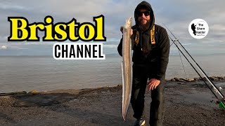 UK Beach Fishing Conger Eels The Shore Hunter The Bristol Channel 4K [upl. by Anikal]