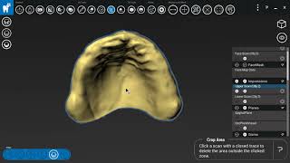 Ivory Digital Denture  Base Step Tutorial  Design Studio Software [upl. by Eirena]