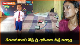 ශීතකරණයට බිලි වූ අහිංසක මල් කැකුළ [upl. by Frager]