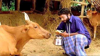 ഹരിശ്രീ അശോകൻ ചേട്ടന്റെ പഴയകാല കോമഡി സീൻ  Harisree Ashokan Comedy Scenes  Malayalam Comedy Scenes [upl. by Arratahs901]