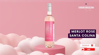 Vinho Rosé Merlot Nova Aliança [upl. by Steinway]