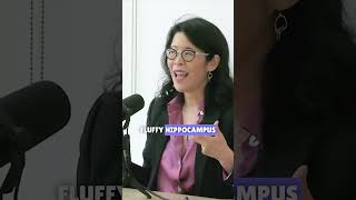 Exercise benefits brain with neurochemicals and growth factors Andrew Huberman amp Dr Wendy Suzuki [upl. by Kennedy]