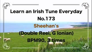 173 Sheehans Double Reel G Ionian [upl. by Essy]