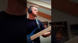 Do i do bass cover bass bassplayer bassist [upl. by Copp362]