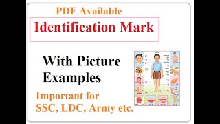 Identification Mark in exam form how to write identification mark in form identification mark ssc [upl. by Otrebor183]