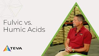 Fulvic vs Humic Acids [upl. by Adnole347]