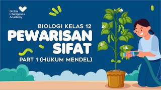 BIOLOGI SMA Kelas 12  Pewarisan Sifat PART 1 Hukum Mendel  GIA Academy [upl. by Amsirhc412]