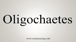 How To Say Oligochaetes [upl. by Alekim164]