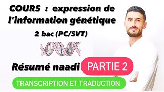 Nature de linformation génétique svt 2 bac svt biof شرح بالداريجة [upl. by Eiuqnimod399]