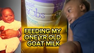 CORA B STILL GIVES HER BABY GOAT MILK FORMULA NO TABLE FOOD AT 1YEARS OLD 🤷🏽‍♀️ [upl. by Benji]