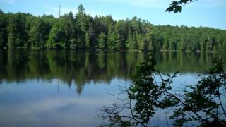 Floodwood Loop  An Adirondacks Adventure [upl. by Dnaleel295]