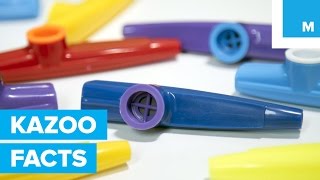 Why the Kazoo is Americas Secret Musical Weapon [upl. by Newhall637]