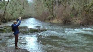 Steelhead fishing at North Fork Alsea Oregon [upl. by Ad]