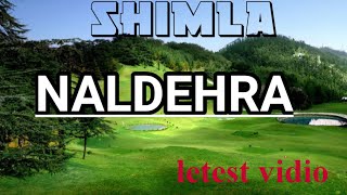 NaldehraMost Beutifull Tourist Place to Visit in Shimla Himach Pradeshgevendra kamde vlogs [upl. by Fellows607]