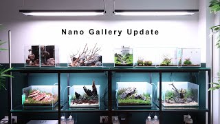 Honest Review of my Nano Aquascapes Q12024 [upl. by Spiro]