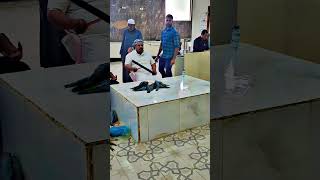 Saudi Arabia fish Thuwal viralvideo fish thuwal [upl. by Anibla292]