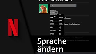 Netflix Sprache ändern Filme amp Menüs ✅ Tutorial [upl. by Finah]