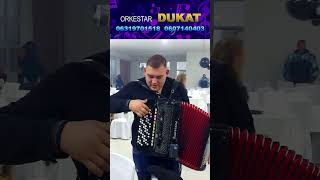 Orkestar Dukat improvizacija Željko Jevremović Belušić 9112025 [upl. by Anitsahs]