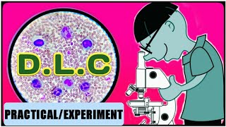 DLC Test  WBC Differential Count  Differential Leukocyte Count [upl. by Kusin]