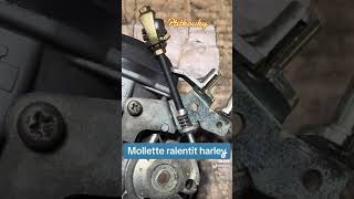 Molette de ralentit cv40 custom [upl. by Lingwood]