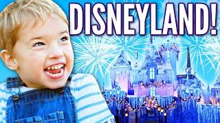 Ballinger Family ✨DISNEYLAND SPECIAL✨ Luke amp Teddys FIRST TIME 🎄20222023 Holiday Season🎄 [upl. by Imac10]