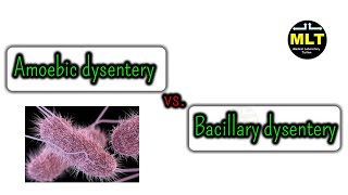 amoebic dysentery vs bacillary dysentery in hindi [upl. by Timothee323]