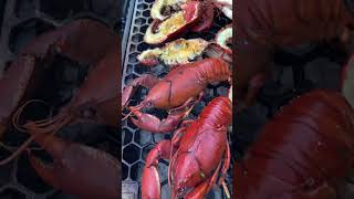 Tis’ the season for yabbies Oct  Feb in Australia Perfect for Surf n’ Turf shortsvideo [upl. by Emearg]