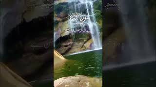 Sura ALbakara Ayat 208 [upl. by Plerre]