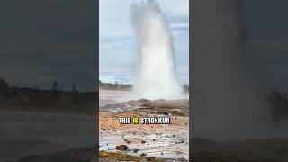 Old Faithful Who Iceland’s Strokkur Geysir Steals the Show travelshorts geyser outdoors [upl. by Learsiy]