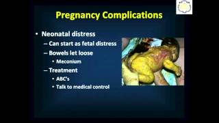 MD311 OBGYN Emergencies [upl. by Meehaf]