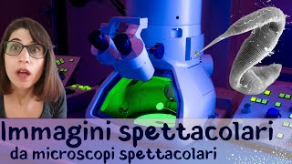 Microscopi elettronici e non solo immagini microscopiche spettacolari [upl. by Aynotak]