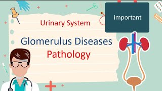 Glomerulus Disease  Pathology [upl. by Amick]