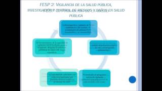 Funciones Esenciales en Salud Pública FESP OPS 2002 [upl. by Gloriane]