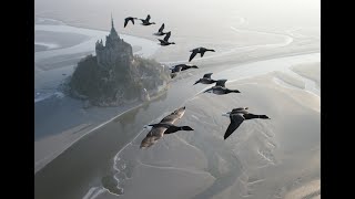 Amazing flights with birds on board of a microlight Christian Moullec avec ses oiseaux [upl. by Per599]