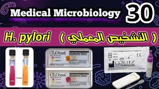 Helicobacter pylori H pylori شرح التشخيص المعملي لجرثومه المعده [upl. by Ledif]