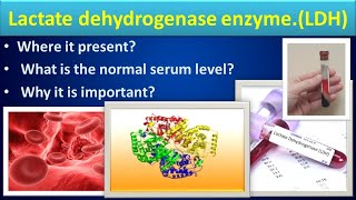 Lactate Dehydrogenase biochemistry LDHmedilabacademyCBC [upl. by Granoff]