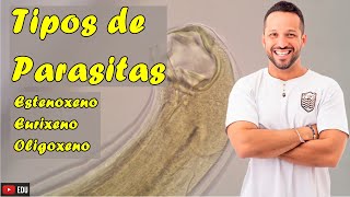 Tipos de Parasitas  Estenoxeno Eurixeno e Oligoxeno  Parasitologia  Programa de Saúde [upl. by Tabbie]