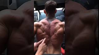 Body Back Workout [upl. by Beaston]