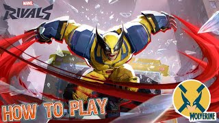 How to Play Wolverine Guide  Marvel Rivals [upl. by Zurciram]