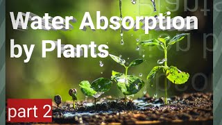 Water Absorption by plants physical theories [upl. by Zigrang]