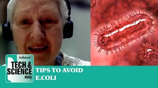 UK Ecoli outbreak how to avoid catching infection Tech amp Science Daily podcast [upl. by Llennhoj]